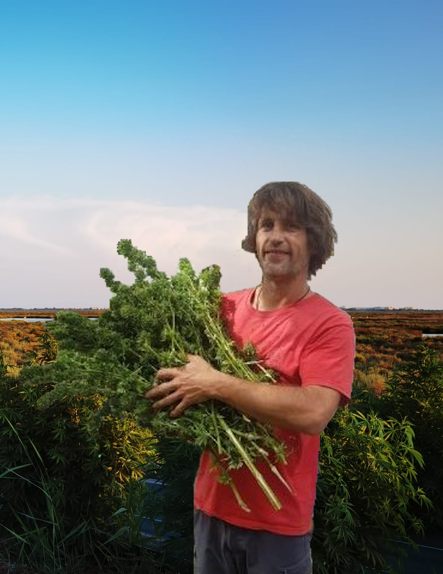 L'équipe CBD Pacifique dans les champs de chanvre au coucher du soleil